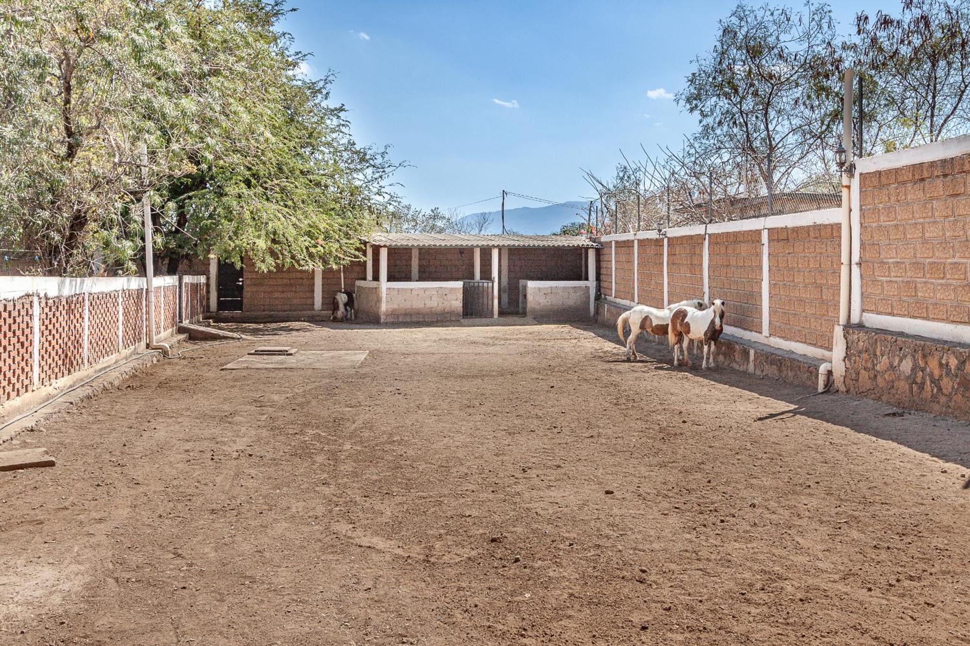 Quintarosita Villa El Estudiante Esterno foto